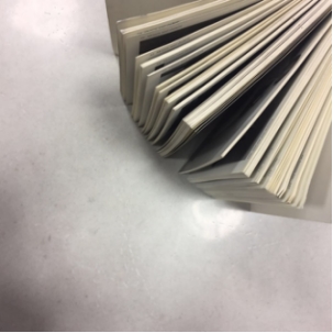 20161114 ICC�ɴu������׃���fǧ���پWÿ�ܳ�Ҏ���£�665_���D��.jpg